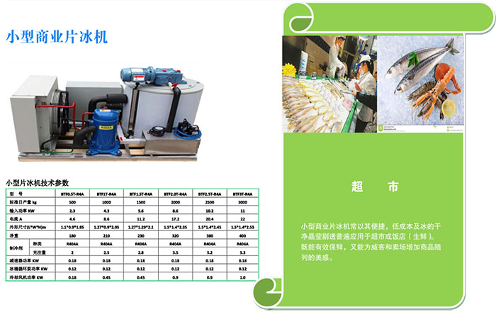 小型片冰機(jī)